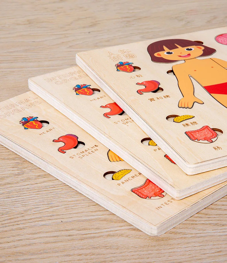 Montessori-Körperpuzzle