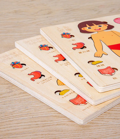 Montessori-Körperpuzzle