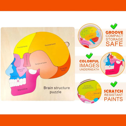 Montessori-Körperpuzzle