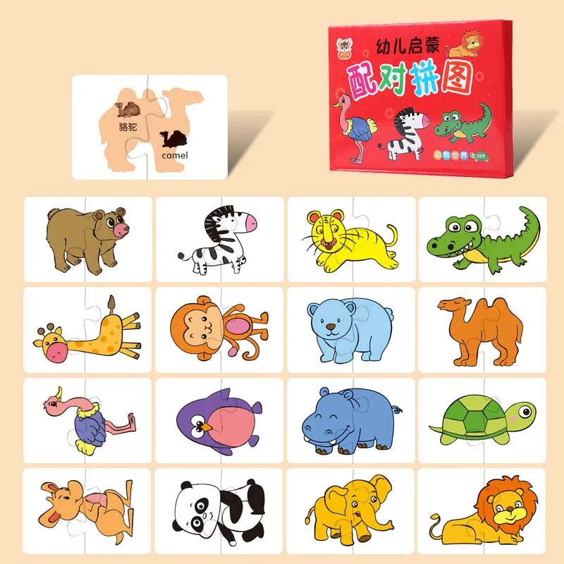 Montessori Cognitive Cards