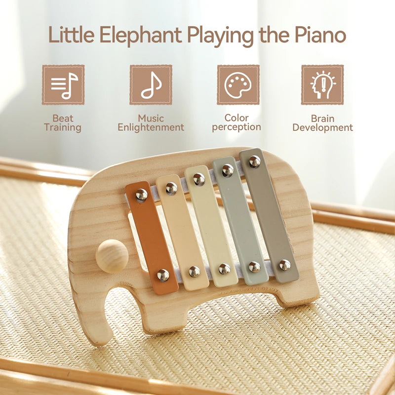 Montessori Music Set