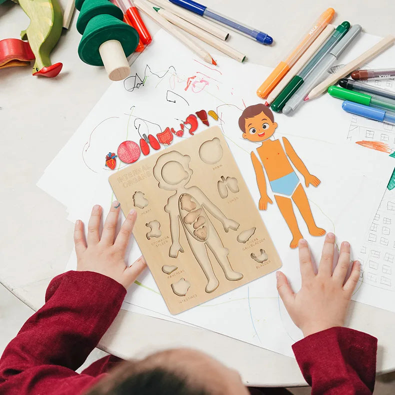 Montessori-Körperpuzzle