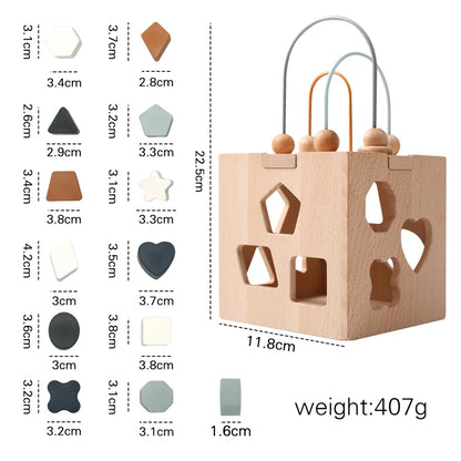Montessori Wooden Learning Board