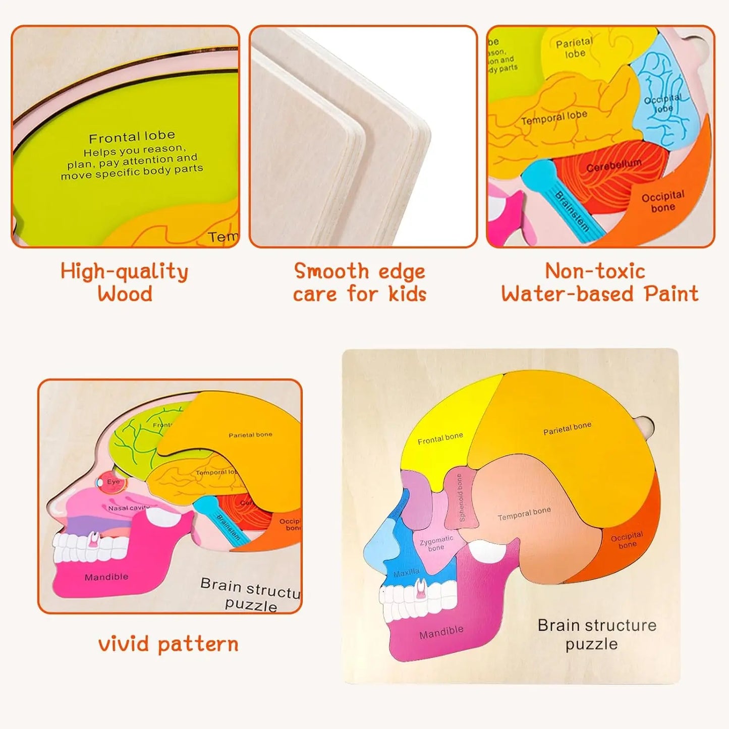 Montessori-Körperpuzzle