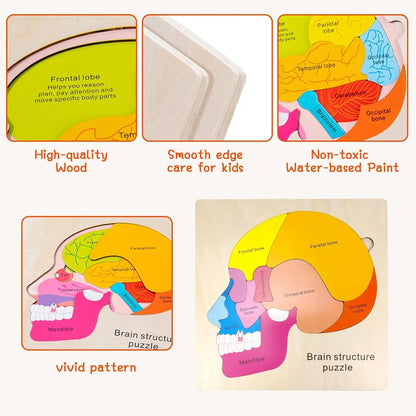 Montessori-Körperpuzzle