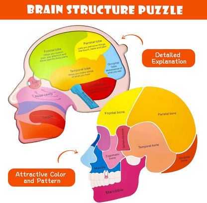 Montessori-Körperpuzzle